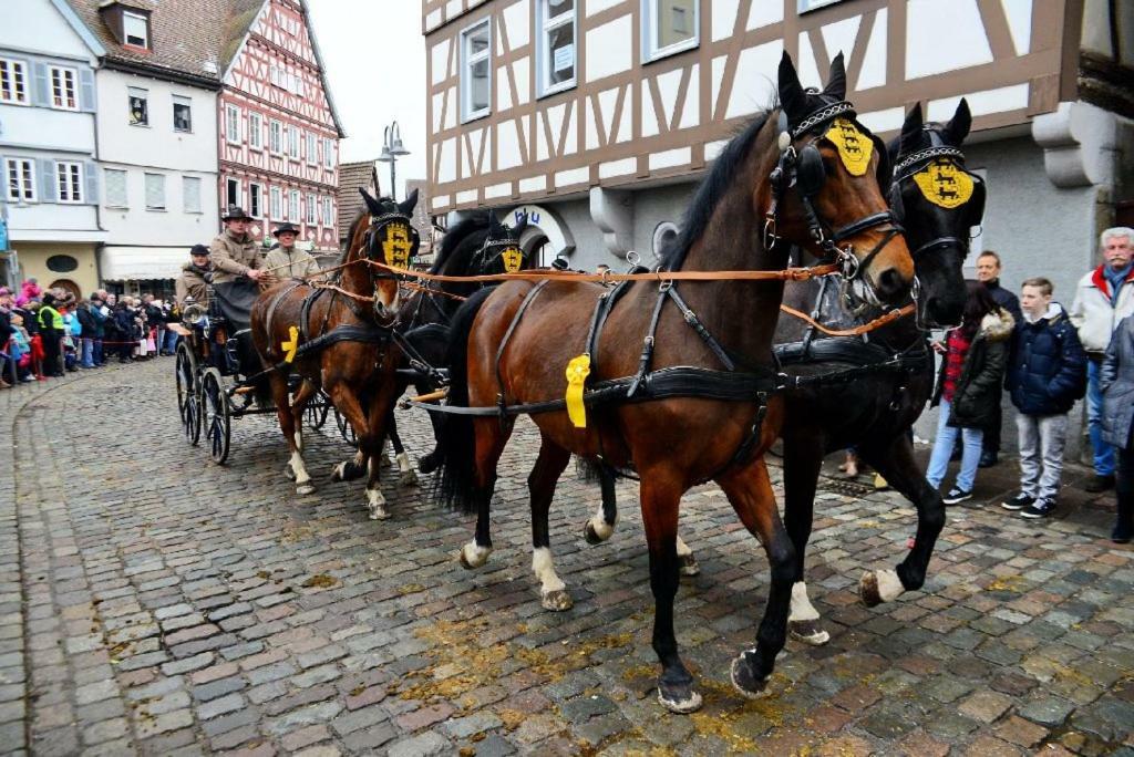 Schlosshotel Hoefingen Leonberg Zewnętrze zdjęcie